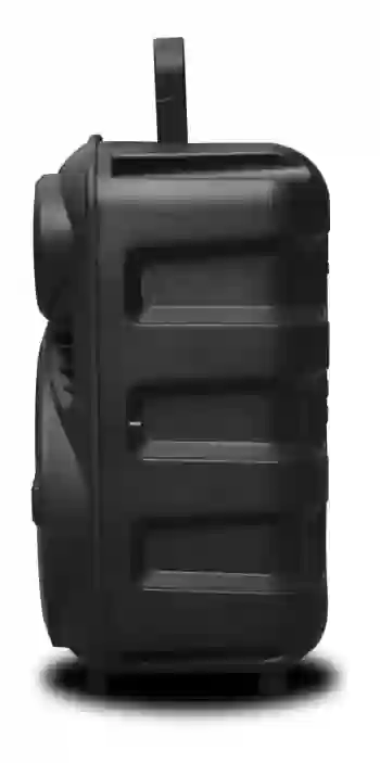 Parlante AIWA AW-P240D-SN